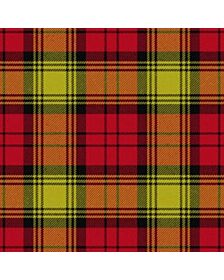 Alliance France Ecosse Tartan Kilt