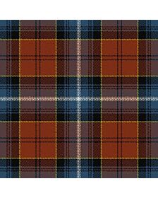 Baron of Greencastle Dress Ancient Tartan kilt