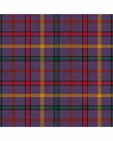 Child The Tartan Kilt