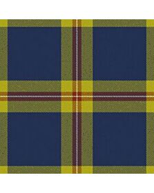 Degli Uberti Baron of Cartsburn Tartan Kilt