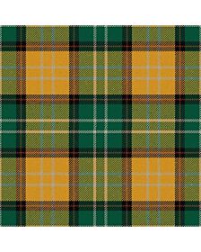 Eire Ancient Tartan Kilt