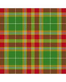 Elystan Glodrydd Welsh Tribe Tartan Kilt