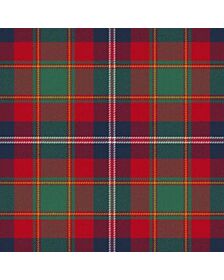Fiesta (2) Tartan Kilt