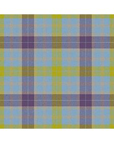 Froach's Grian Tartan Kilt
