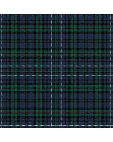 G J Nelson Ancient Tartan Kilt