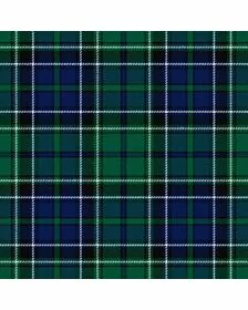 Haley Clan Tartan Kilt