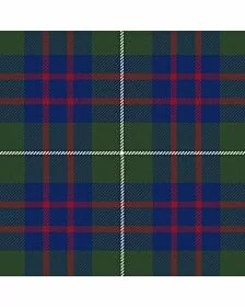 Hamilton of Clayton Tartan Kilt
