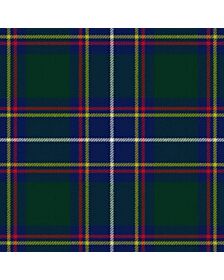Hydesville Tower School Tartan Kilt