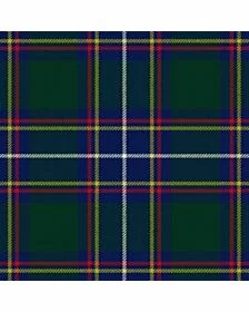 Hydesville Tower School Tartan Kilt
