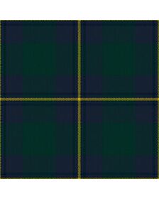 Irvine Of Bonshaw Tartan Kilt