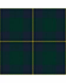 Irvine Of Bonshaw Tartan Kilt