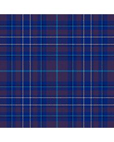 Learmonth M Tartan kilt