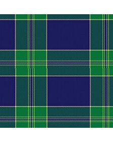 Lewis of Wales Tartan kilt