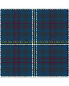 Romantic Scotland Madonna Ancient Tartan Kilt