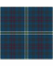 Romantic Scotland Madonna Ancient Tartan Kilt