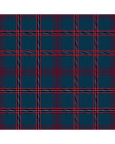 Rosie Modern Tartan Kilt