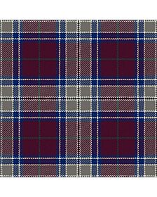 Royal Society For The Prevention Of Cruelty To Children Heather Modern Tartan Kilt