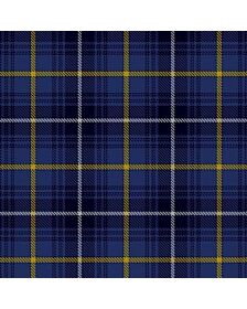 Swedish Tartan Kilt