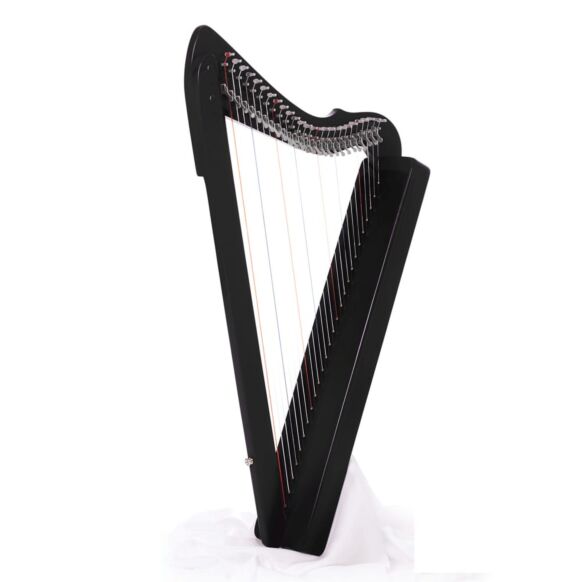 26 String Follicle Black Harp