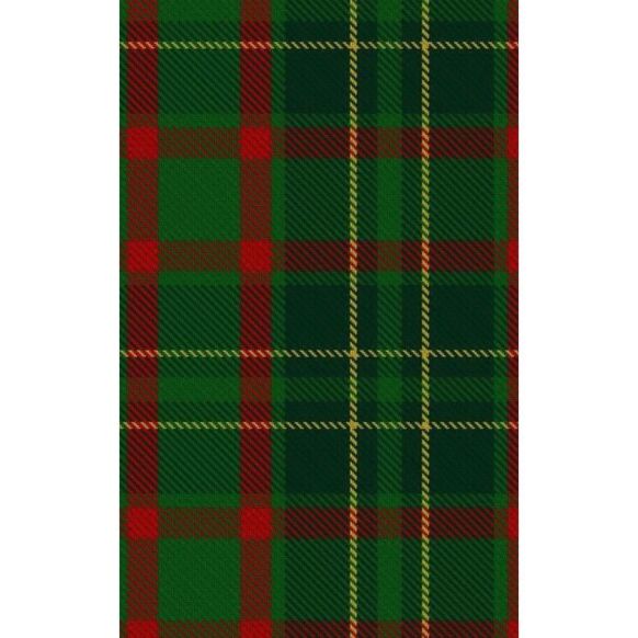 Clan Doyle Tartan kilt