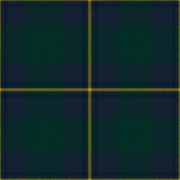 Irvine Of Bonshaw Tartan Kilt