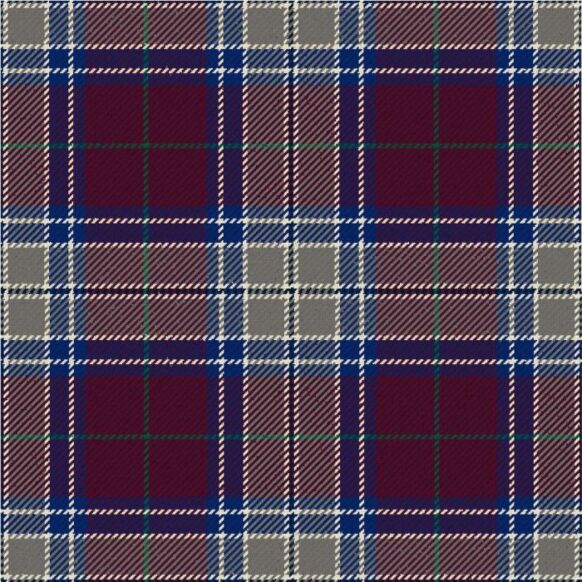 Royal Society For The Prevention Of Cruelty To Children Heather Modern Tartan Kilt