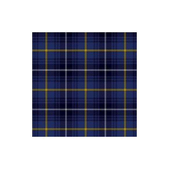 Swedish Tartan Kilt