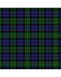 Clan MacEwen Family Tartan Kilt